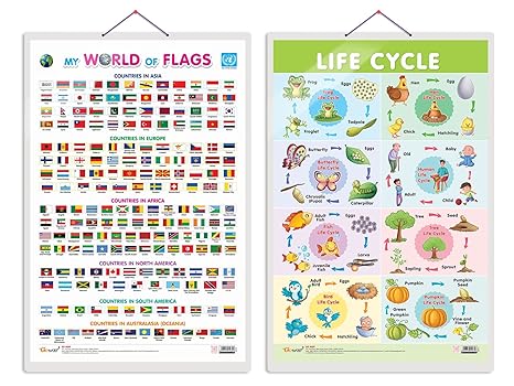 Set of 2 My World of Flags and Life Cycle Early Learning Educational Charts for Kids | 20"X30" inch |Non-Tearable and Waterproof | Double Sided Laminated | Perfect for Homeschooling, Kindergarten and Nursery Students