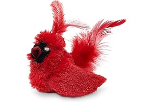 OurPets Play-N-Squeak Real Birds Interactive Cat Toys for Indoor Cats