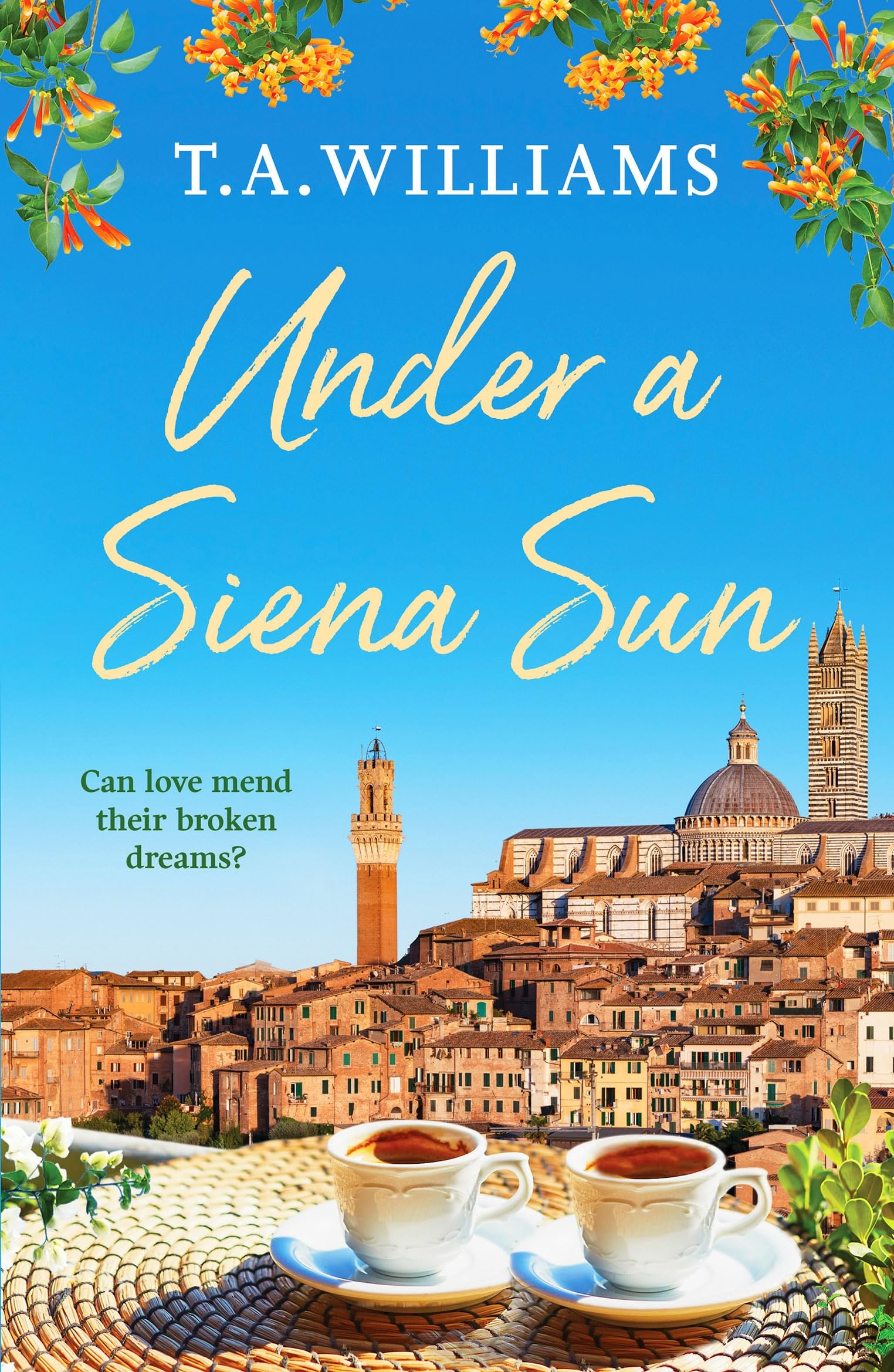 Under a Siena Sun by T.A. Williams (Paperback Book)