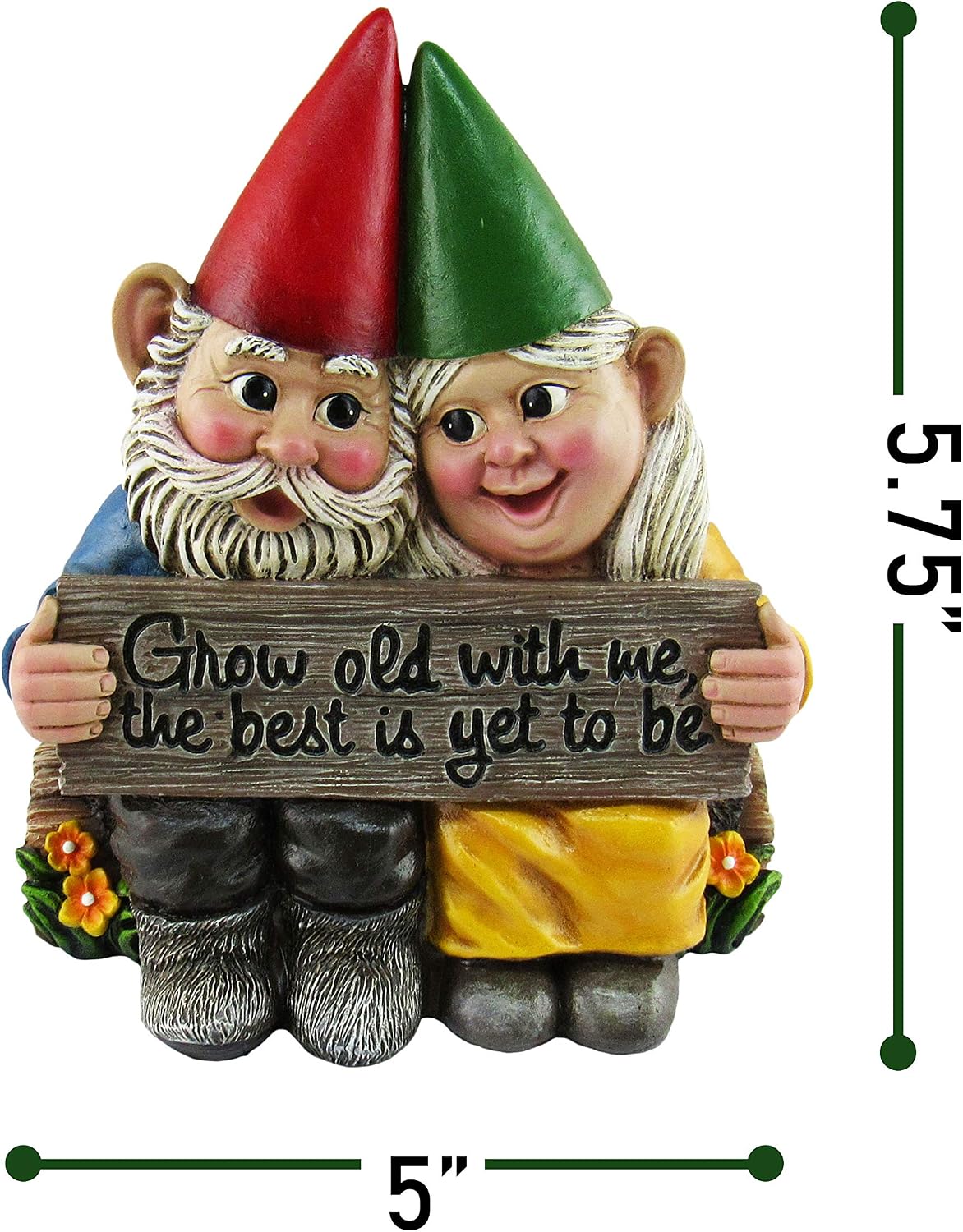 DWK 5.75" Growing Old Together Garden Gnome Couple in Love Best Friends Collectible Statue for Indoor Outdoor Garden and Home Decor