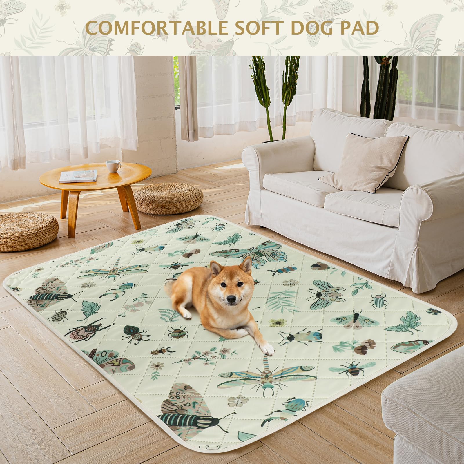 View 8