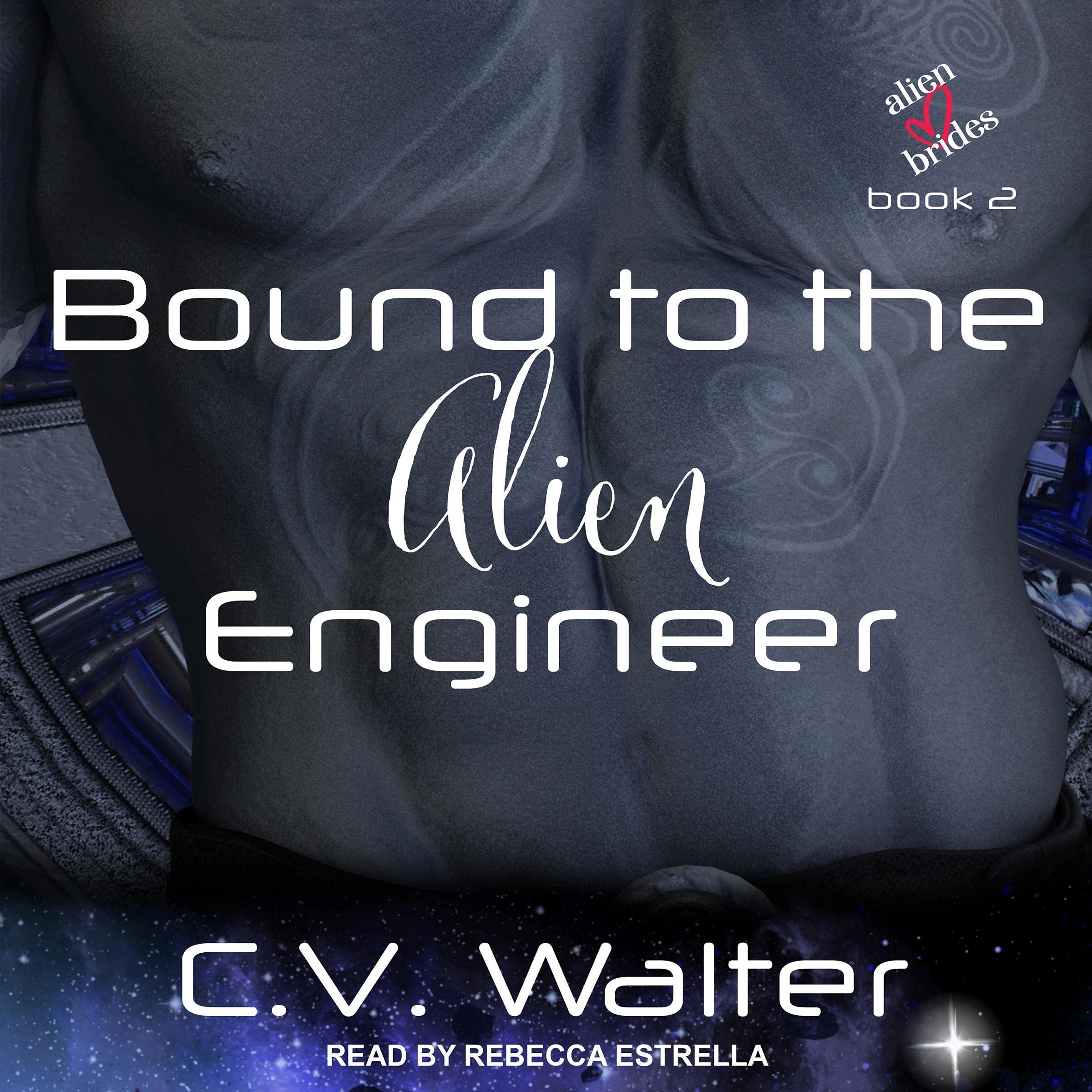 Cover art for Bound to the Alien Engineer