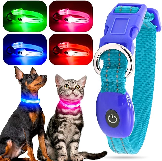 YFbrite Light up Dog Collar, Rechargeable LED Dog Collar, Adjustable Cat Collar Light Safety Glowing at Night for Puppy, Small, Medium, Large Dogs (Blue)