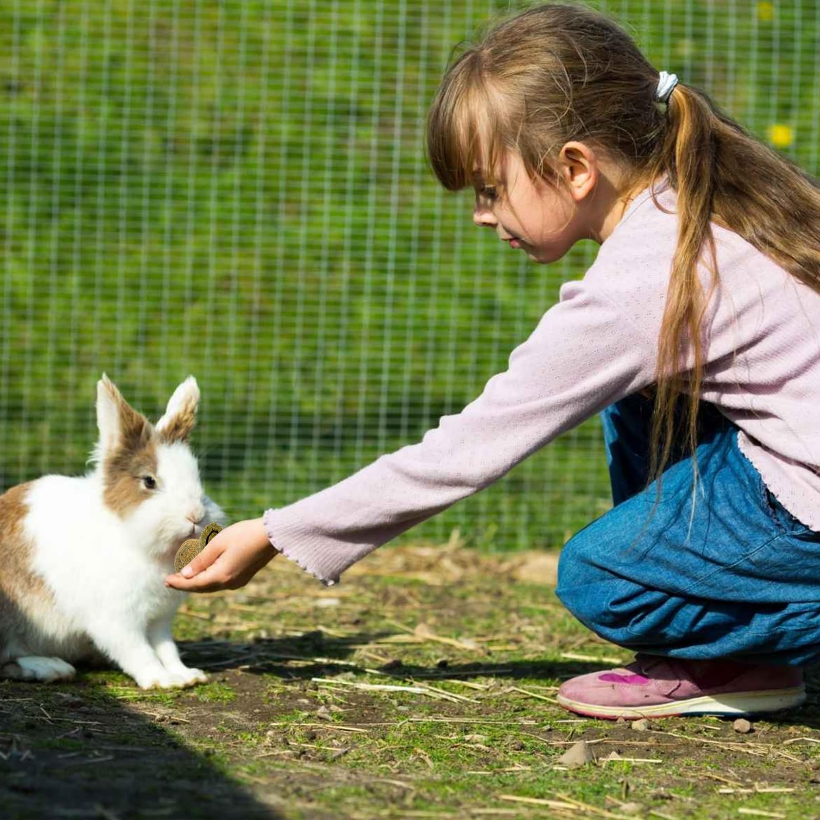 Giocattoli Da Masticare Appesi Per Conigli - Set Naturale Con Erba, Carota, Legno Per Piccoli Animali - Foto 2