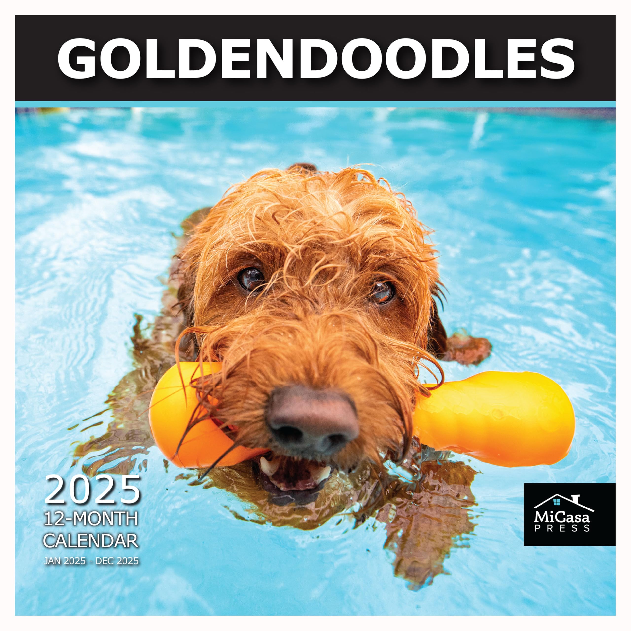 MICASA Goldendoodles 2025 Wall Calendar 12 Month | 12" x 24" Open | Thick &amp; Sturdy Paper | Giftable | Calendar 2025