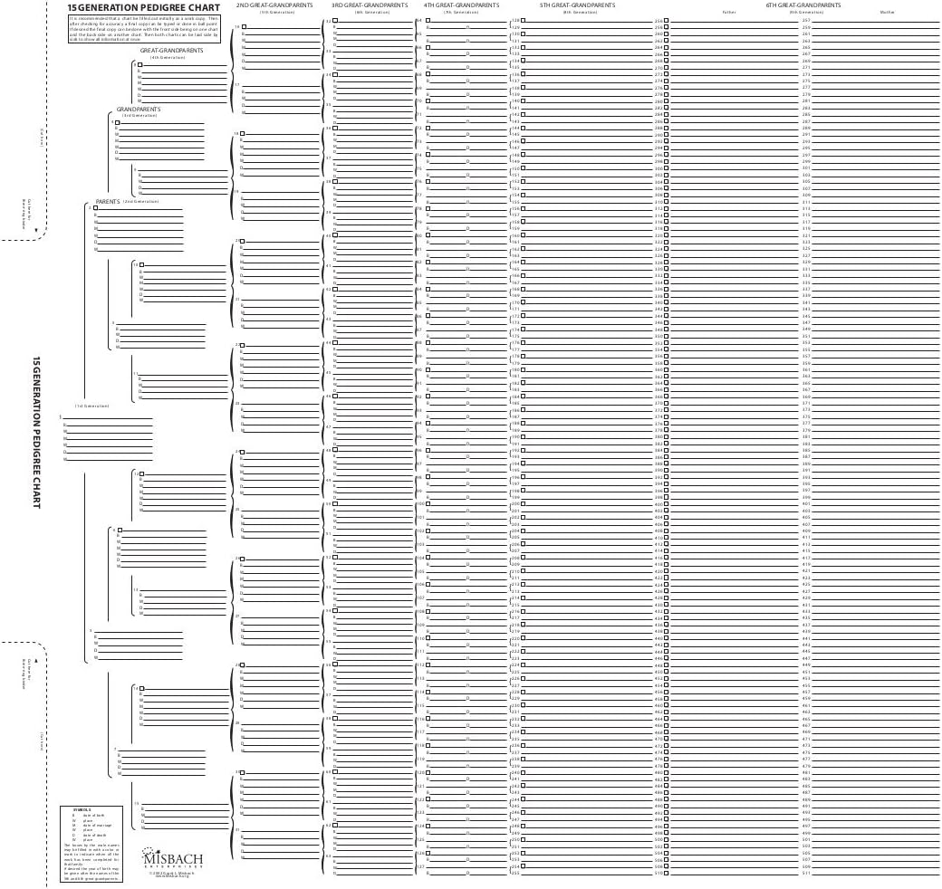 [ツリーシーク]TreeSeek® 15 Generation Pedigree Chart | Blank Genealogy Forms for Family History and Ancestry Work PC [並行輸入品] Unknown Binding