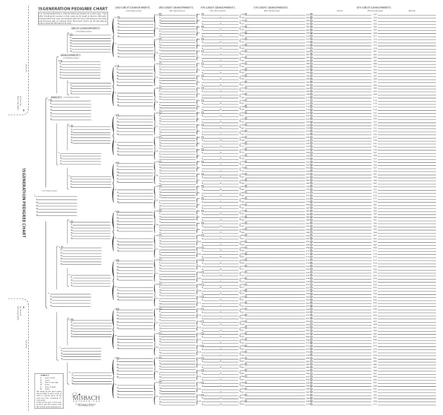 Amazon.com: TreeSeek® 15 Generation Pedigree Chart | Blank Genealogy Forms for Family History and Ancestry Work : Office Products for Free Printable Family History Forms