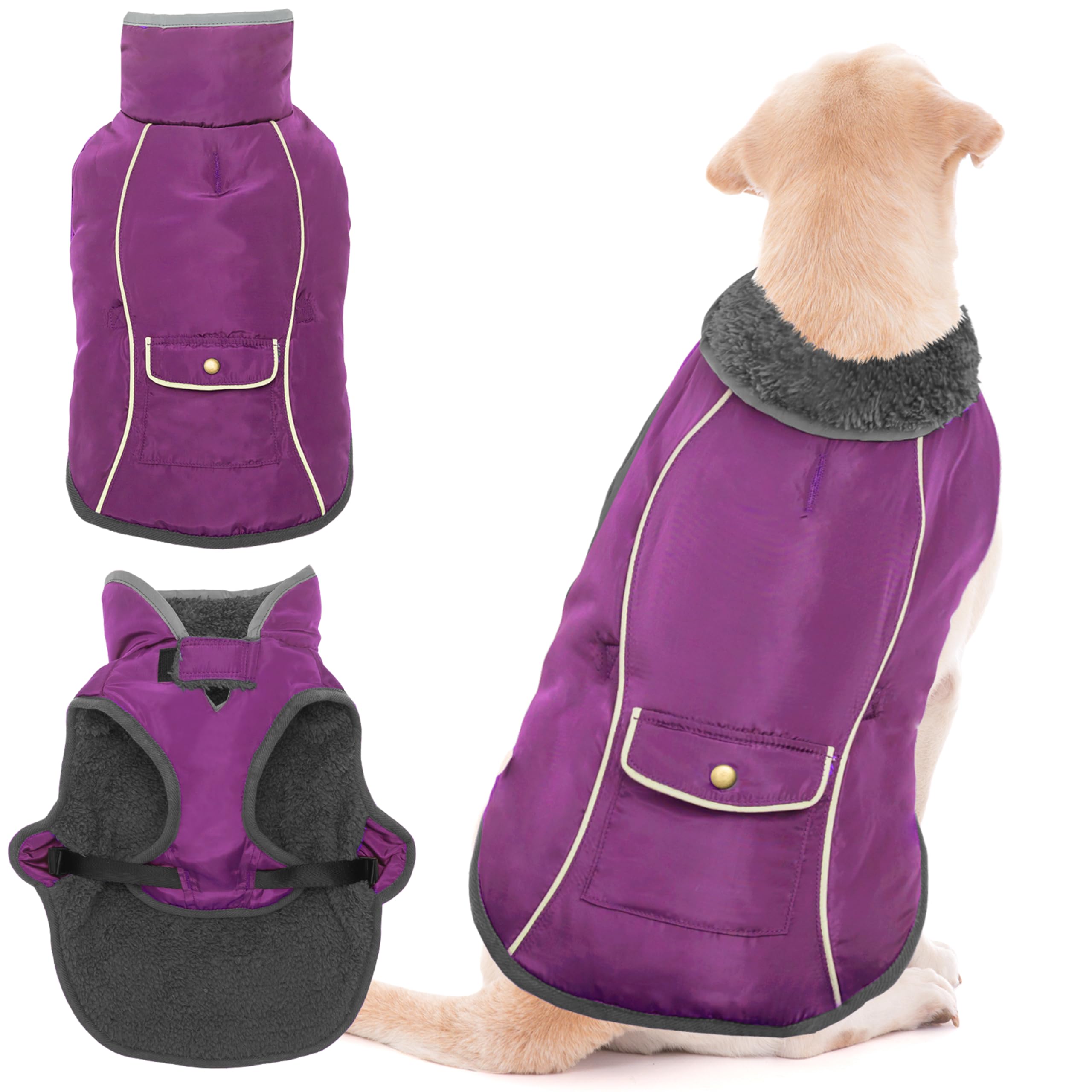 Manteau de pluie pour chien idéal pour les promenades en forêt par temps de neige
