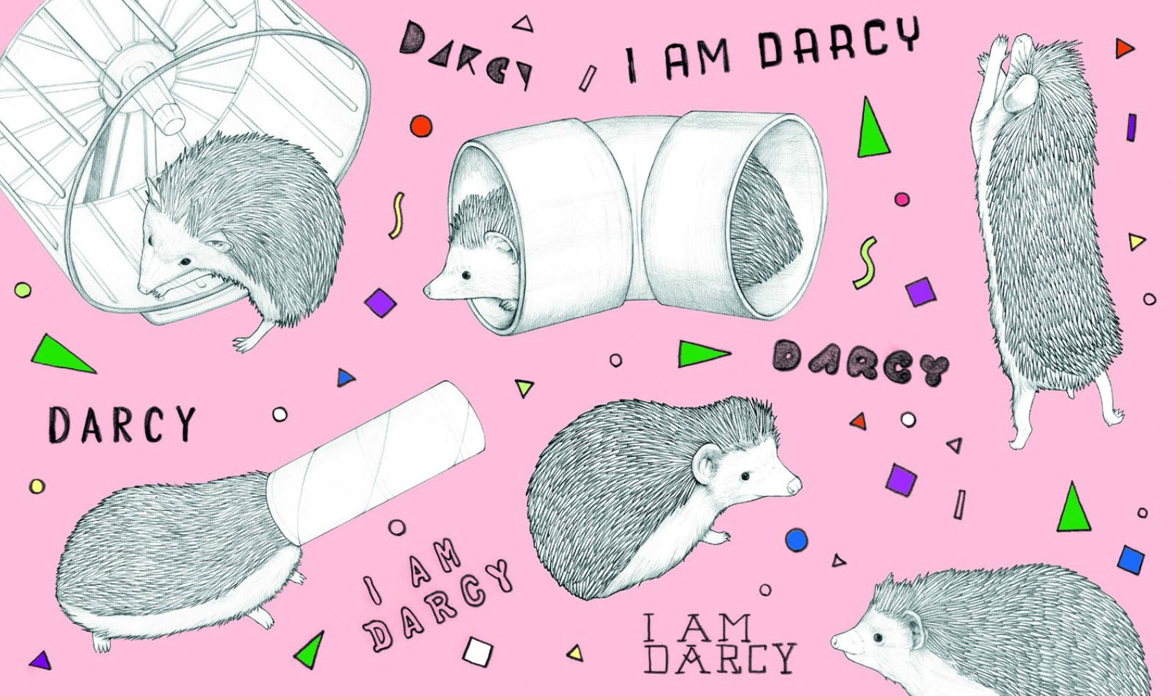 ぼくのかわいいハリネズミ ダーシー D Di 塚本翔太 本 通販 Amazon