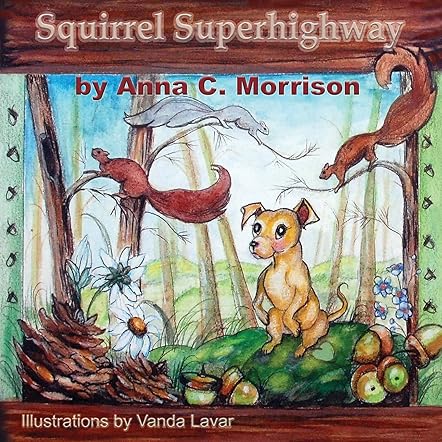 Squirrel Superhighway