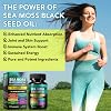 Musgo Marino, Aceite de Semilla Negra, Ashwagandha, Jengibre, Cápsulas de Musgo Marino con Cúrcuma, Raíz de Bardana, Bladderwrack, Vitamina C, Vitamina D3 para inmunidad y energía mejoradas (Paquete de 1) 7