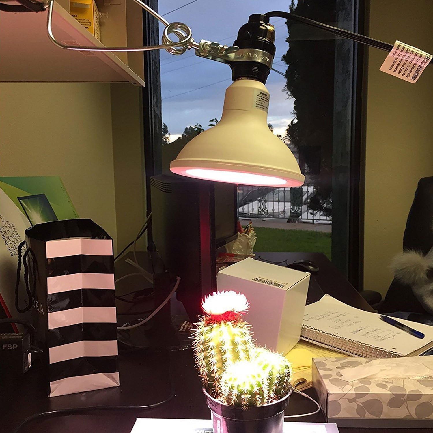 Gеt Sресіаl Prісе Simple Deluxe HIWKLTCLAMPSOCKETX12 12-Pack E26 Clamp Light Socket up to 150 Watt 18/2-Gauge 6 Feet Cord, Black