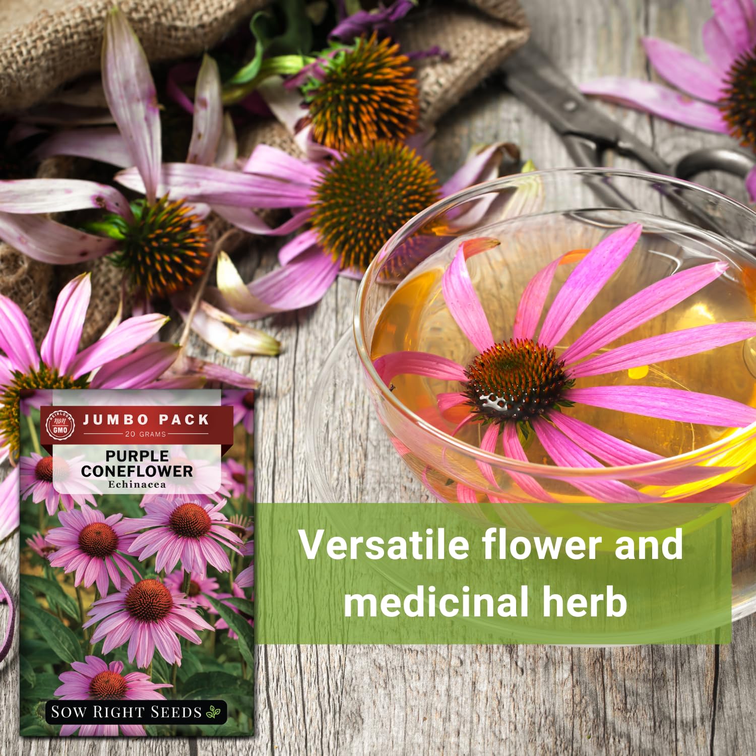 echinacea seeds bulk Purple Coneflower Echinacea Seeds 400mg from Ferry-Morse Seeds