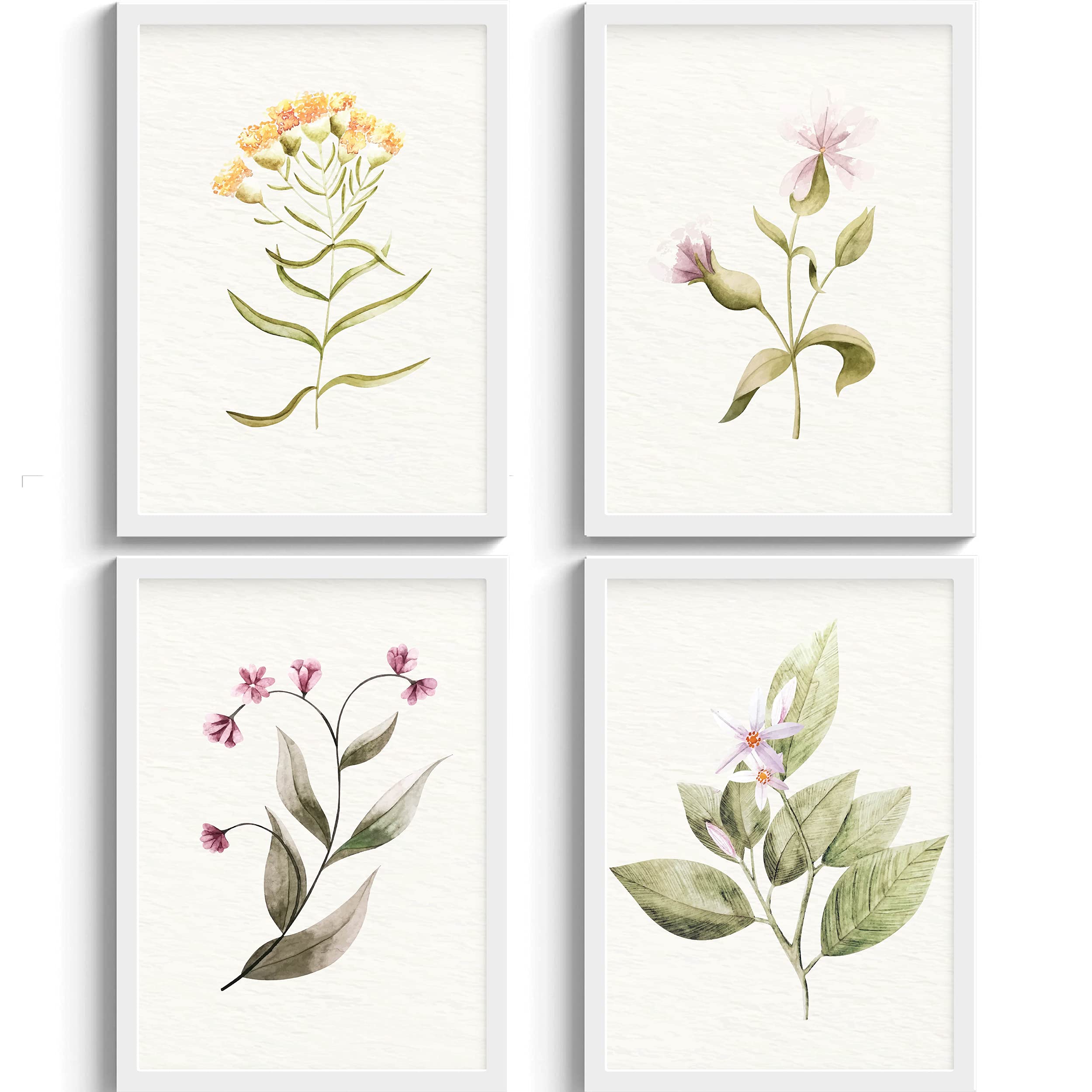 SC CREATIVES Set of 4 Vintage Botany Flowers Framed Art Prints Painting with Plexi Glass 12 x 9 Inches Wall Art Gift Posters for Wall Decor Wall Hangings - White Frame | Ready To Hang