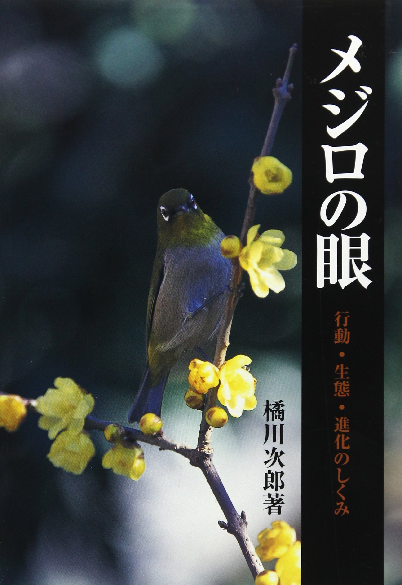 メジロの眼: 行動・生態・進化のしくみ | 橘川 次郎 |本 | 通販 | Amazon