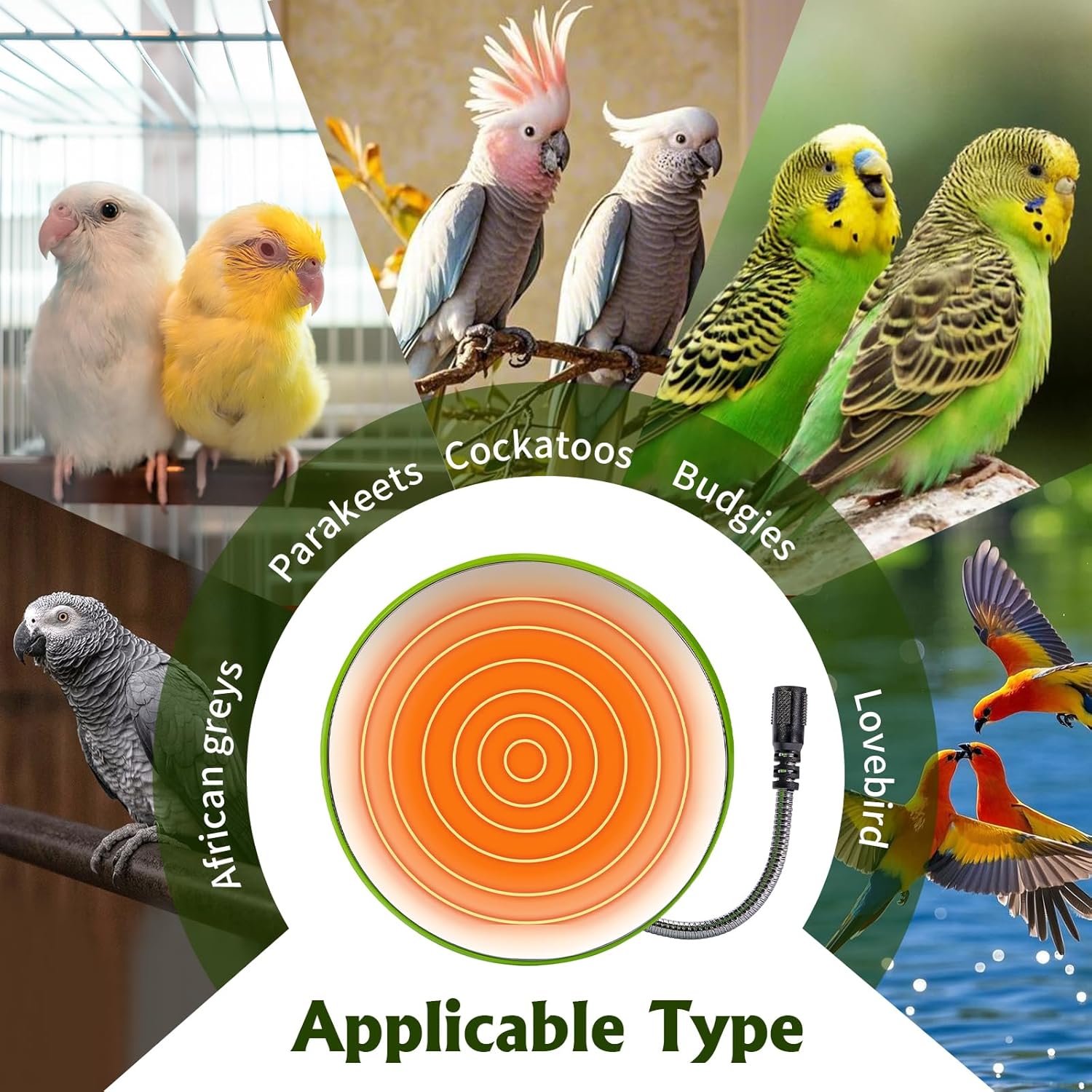 Bird Heater for Cage Thermostatical Bird Warmer Heater Pad with Mirror for Parakeets Parrot,4.7" Round,12V