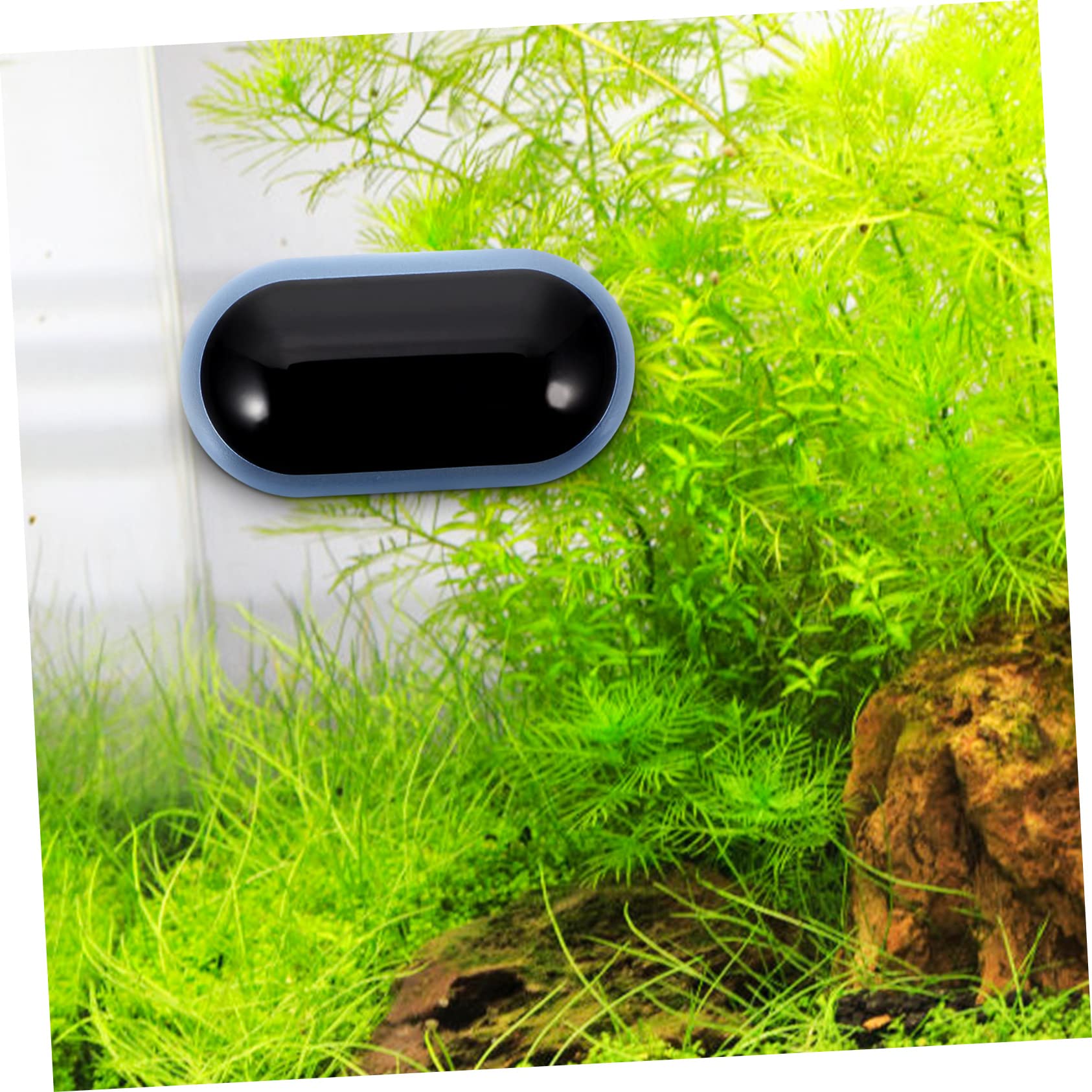 BESPORTBLE 3pièces Thermomètre Numérique Pour Aquarium Outil De Mesure De Température De Eau Design Adhésif Miniature Précision Et Durabilité Parfait Pour Suivi Température Des