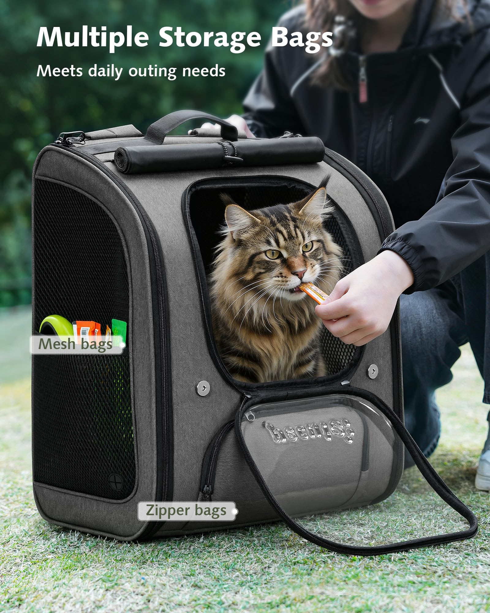 https://m.media-amazon.com/images/I/81C0ysmhslL.jpg