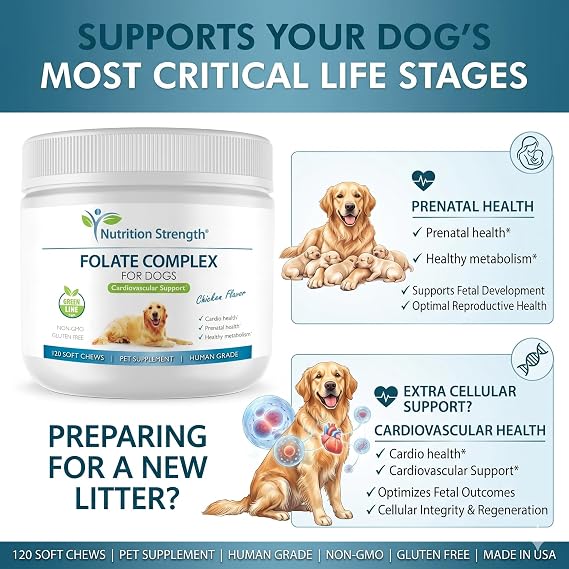 Folate for Dogs to Promote Cardiovascular & Prenatal Health, Support DNA Synthesis & Cell Maintenance, Folic Acid for Dogs with Zinc, Biotin, Iron & Vitamin B12, 120 Soft Chews