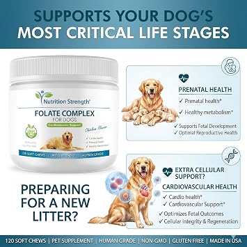 Folate for Dogs to Promote Cardiovascular & Prenatal Health, Support DNA Synthesis & Cell Maintenance, Folic Acid for Dogs with Zinc, Biotin, Iron & Vitamin B12, 120 Soft Chews