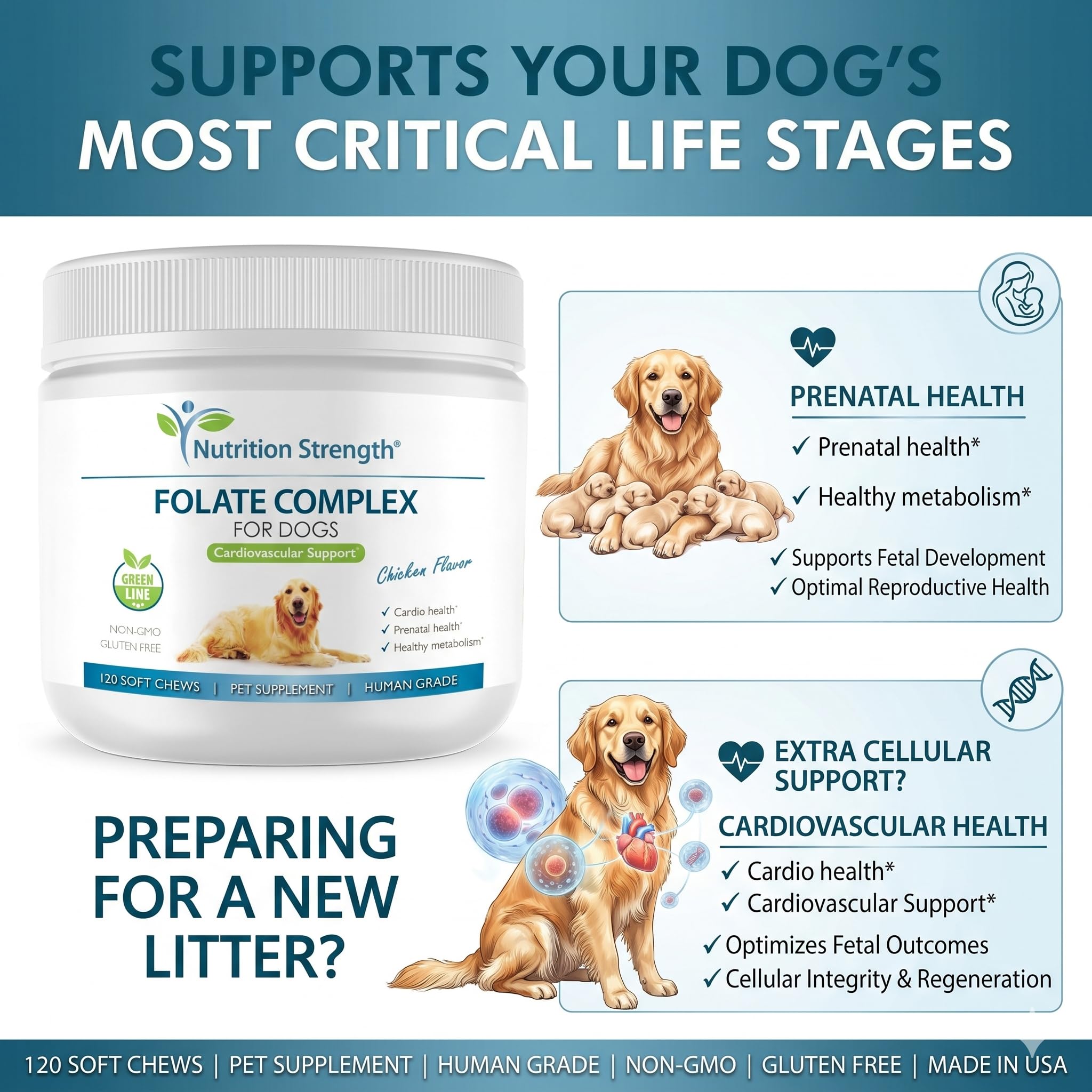 Folate for Dogs to Promote Cardiovascular & Prenatal Health, Support DNA Synthesis & Cell Maintenance, Folic Acid for Dogs with Zinc, Biotin, Iron & Vitamin B12, 120 Soft Chews — Amazon image 5