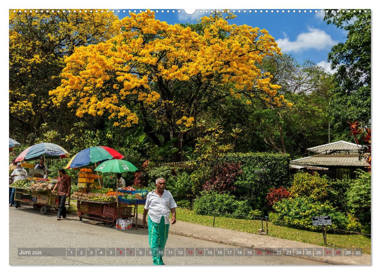 Reise nach Sri Lanka (hochwertiger Premium Wandkalender 2026 DIN A2 quer), Kunstdruck in Hochglanz: Traumhafte Insel im Indischen Ozean (CALVENDO Orte)