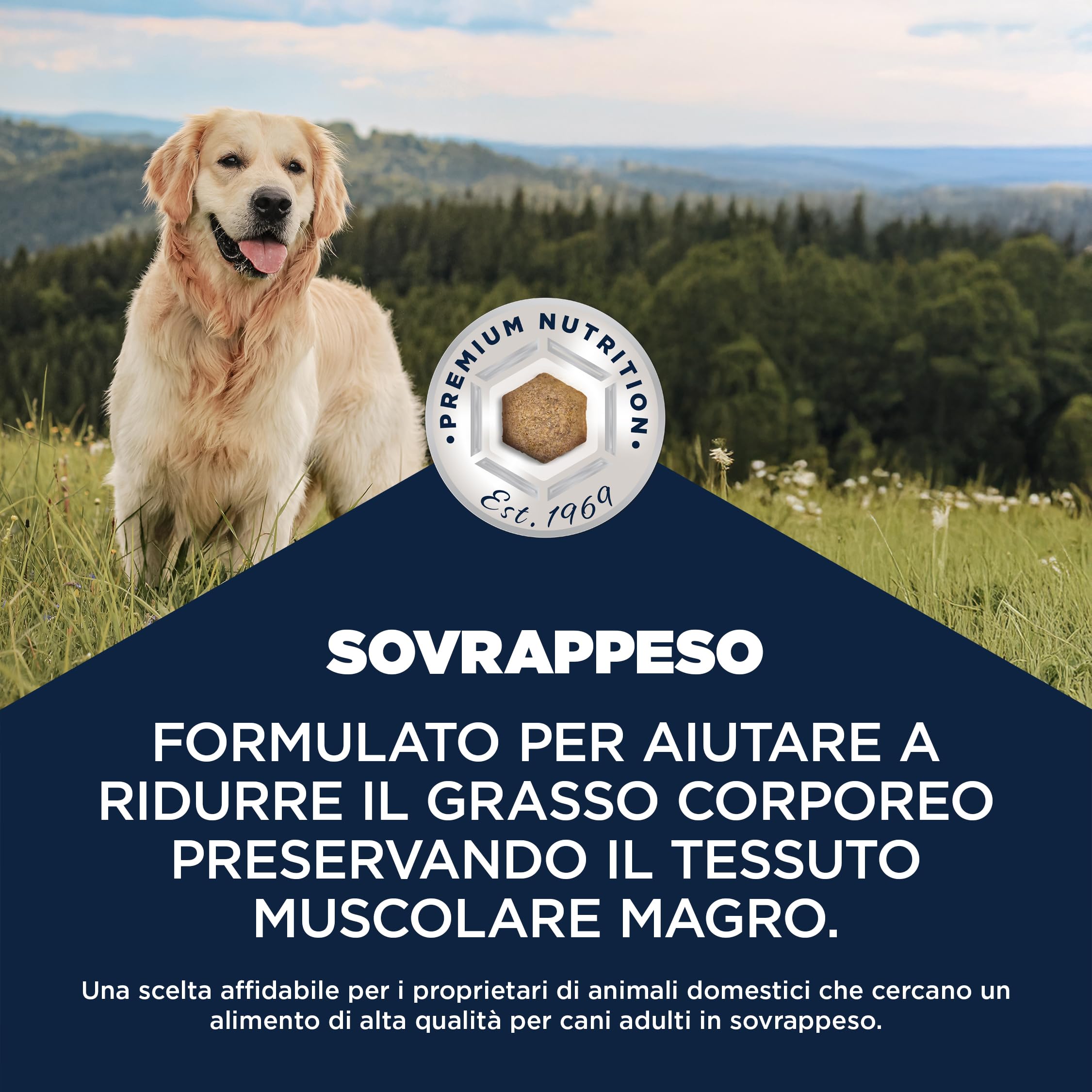 EUKANUBA Overweight Cibo per cani con pollo - Mangime secco Special Care a basso contenuto di grassi per la riduzione del peso, indicato per cani che tendono al sovrappeso, 12 kg