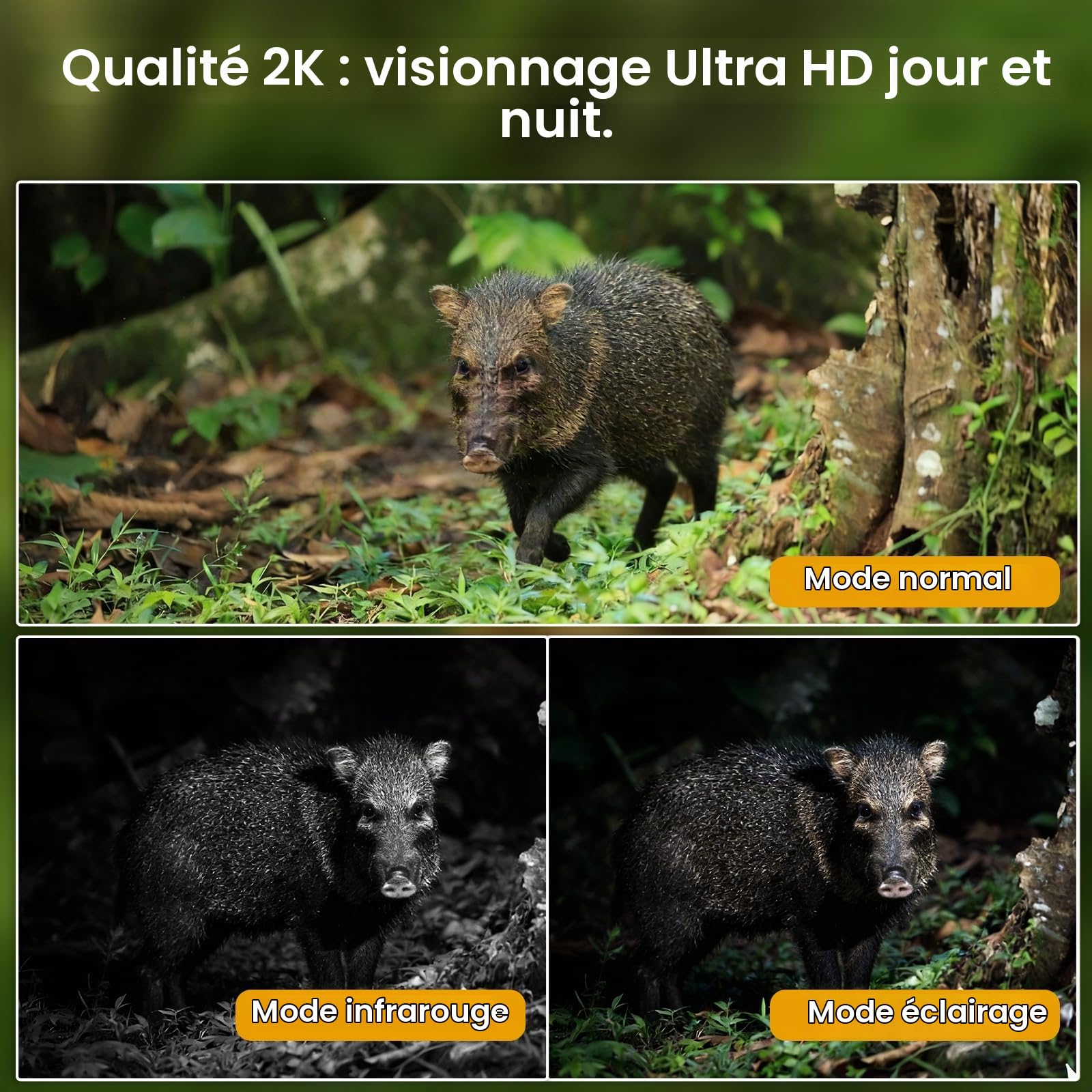 4G caméra de sécurité extérieure sans Fil à énergie Solaire,2K Solaire PTZ 4G avec Carte SIM（sans WiFi）, Détection Humaine PIR, Batterie 10400 mAh, Cloud TF, Audio Bidirectionnel, Etanche IP66