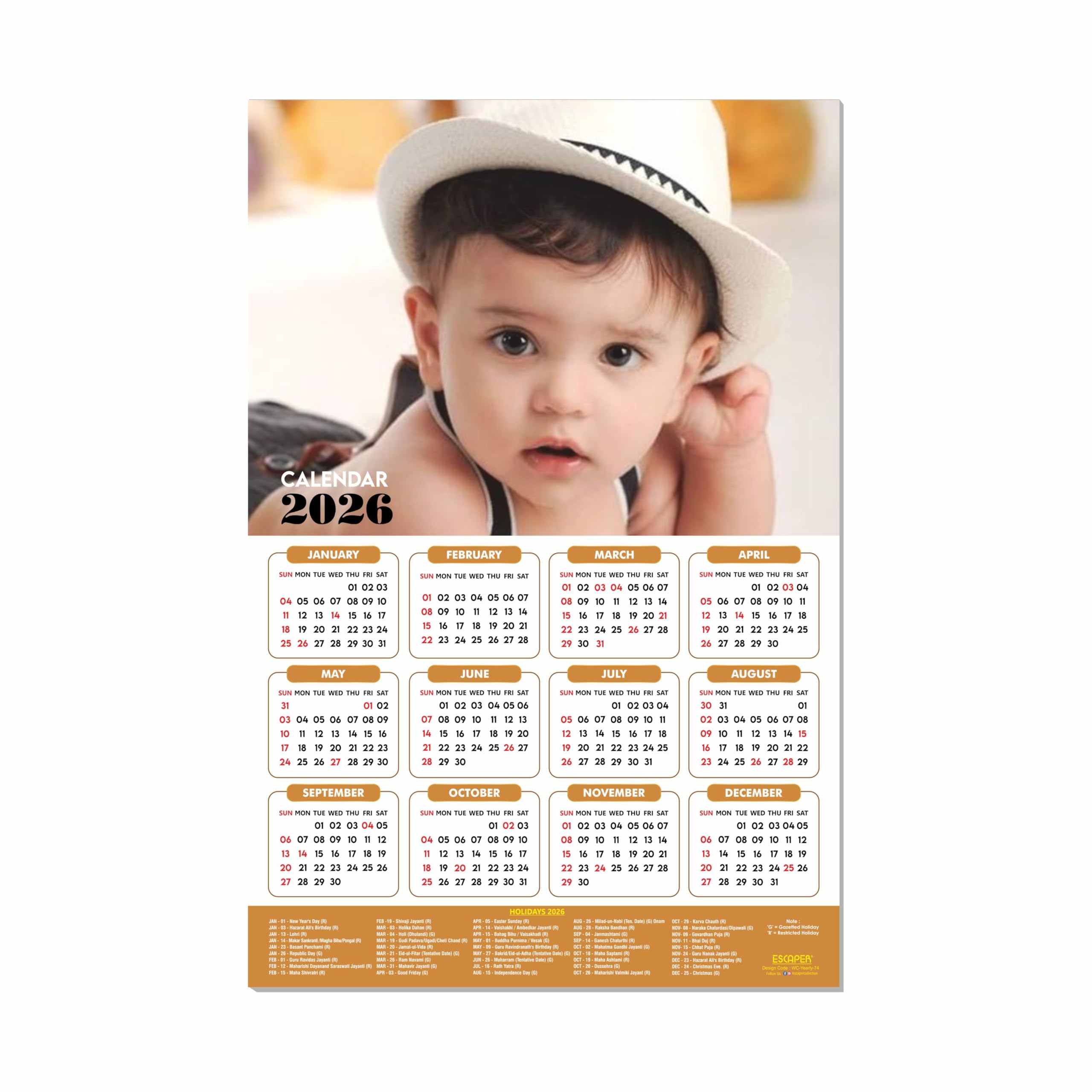 ESCAPER Bonito calendario de pared para bebé 2025 para mujeres embarazadas (45 x 30 cm), fotos de bebé colgando, calendario de pared para bebé 2025 para habitación de mujeres embarazadas, fotos de
