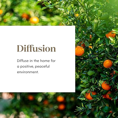 Miniatura 3 de Young Living Peace & Calming Aceite esencial de 0.5 fl oz  Aromaterapia pura y tranquila  Relájate, Relájate, Desenrolla y encuentra la paz interior