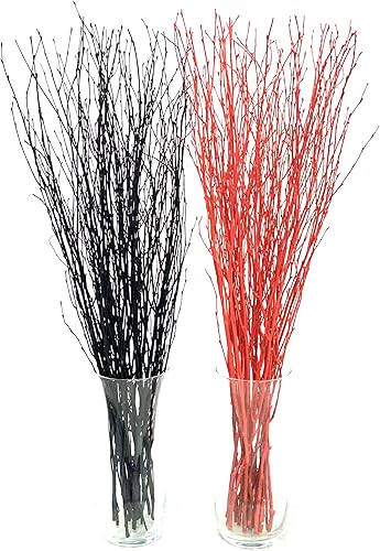 Vista 19 de ECOVENIK 25 piezas – Ramas – 28.7 in, ramitas de abedul natural, paquete de 20-25 tallos, largo para jarrones de suelo, (color marrón natural)