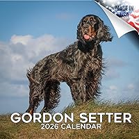 Vista 32 de Razas de Perros 2017