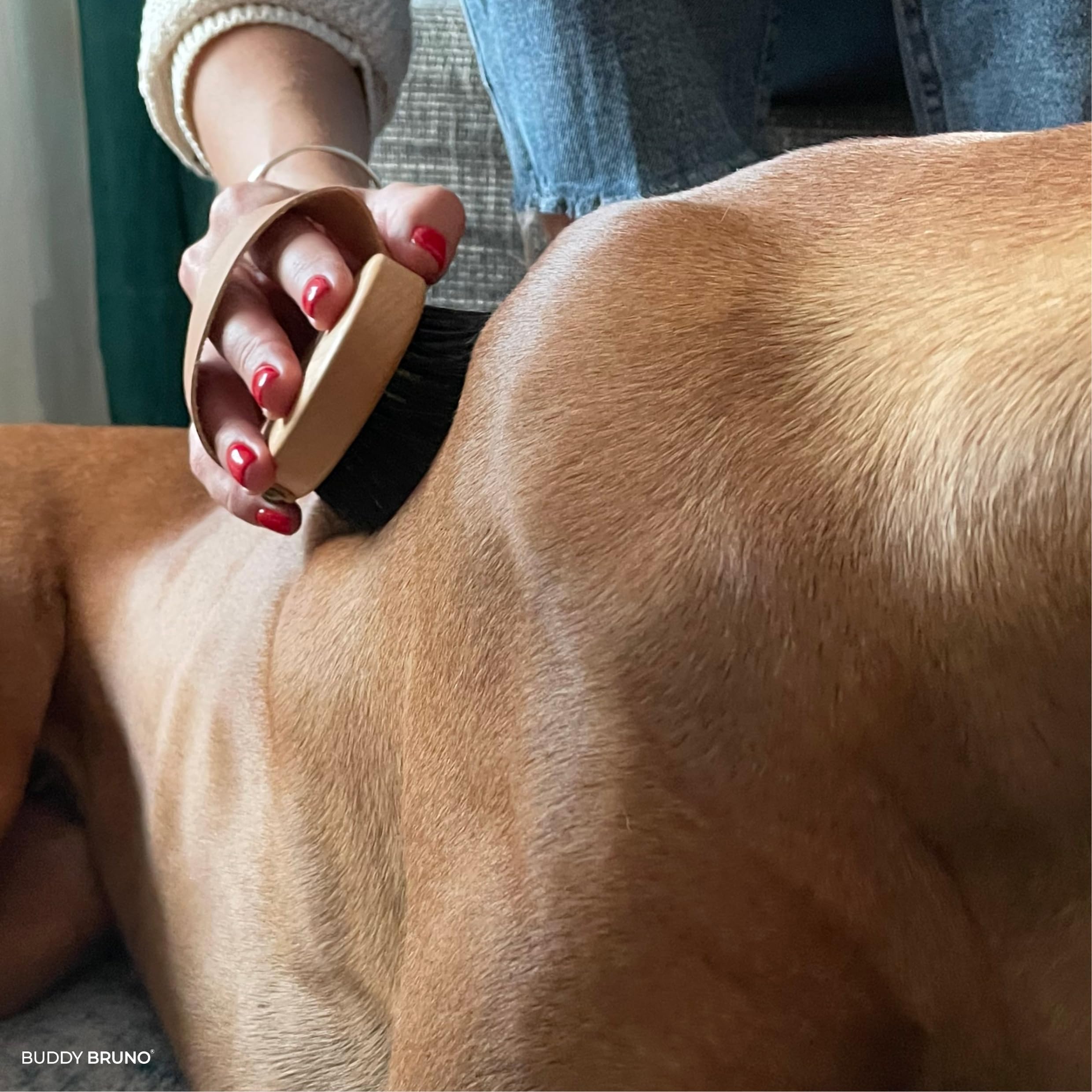 BUDDY BRUNO® Hundebürste Kurzhaar mit 100% Naturborsten, Fellbürste für die tägliche Fellpflege, Premium Striegel für Hunde & Katzenbürste, inkl. Bürstenreiniger, MADE IN DE