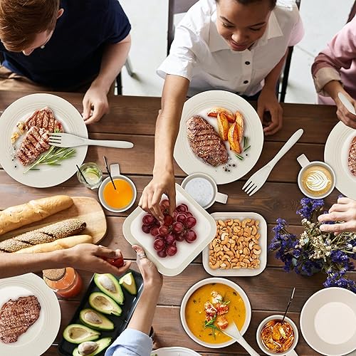 Miniatura 7 de Juego de vajilla de 42 piezas – Juego de platos y cuencos, juego de vajilla de paja de trigo irrompible, platos llanos aptos para lavavajillas y