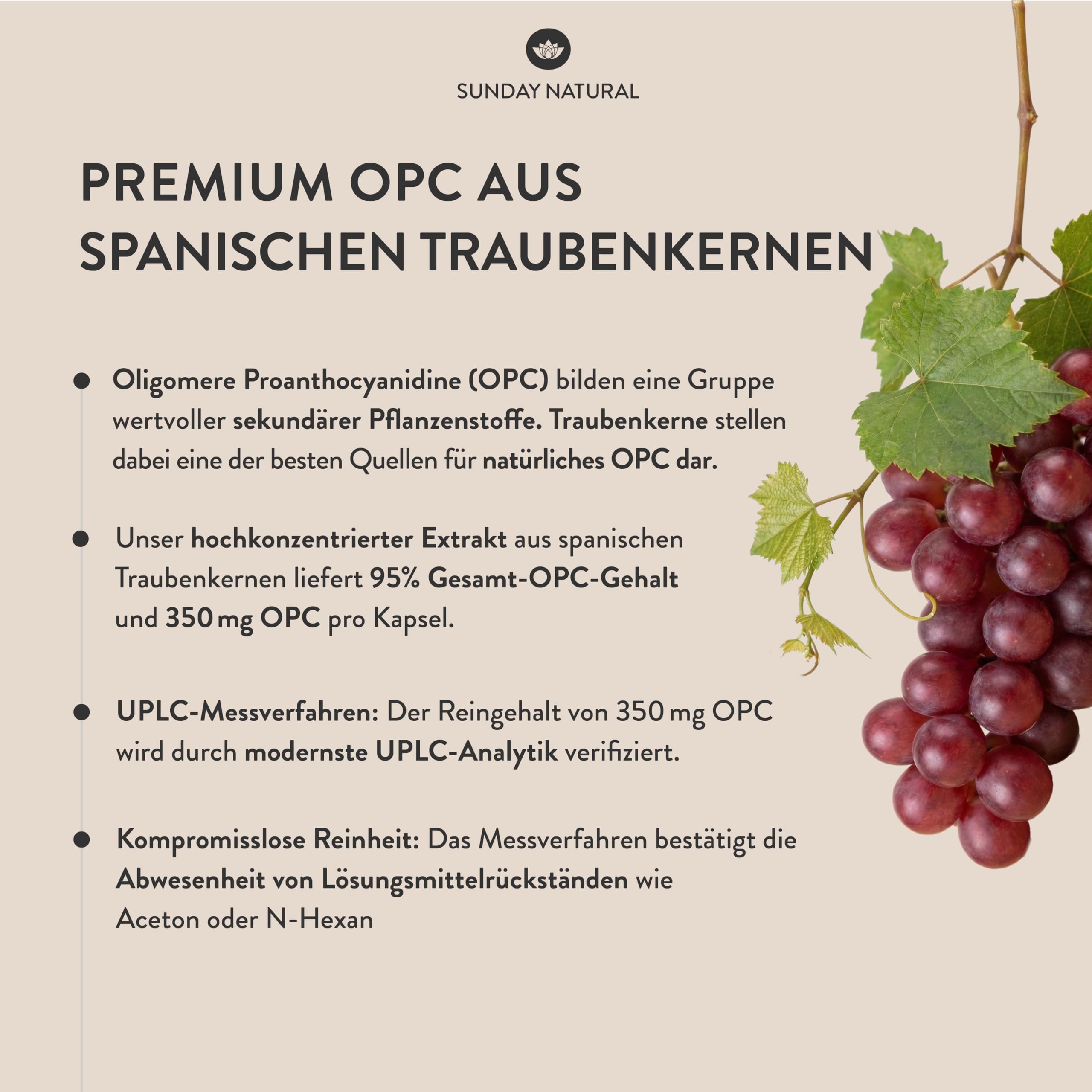 SUNDAY NATURAL® OPC Traubenkernextrakt – 240 Kapseln mit 95% reinem O.P.C. je Kapsel – Höchster OPC Gehalt nach UPLC – aus spanischen Weintraube – Laborgeprüft in Deutschland, vegan