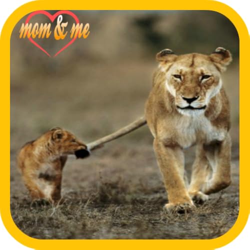 Animal Mom & Me - //medicalbooks.filipinodoctors.org