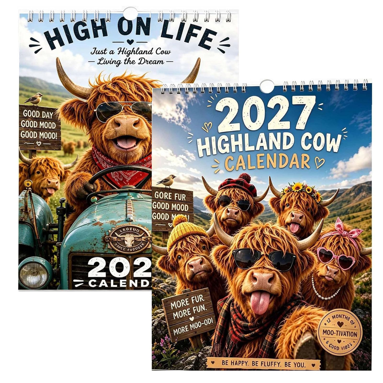 2027 Funny Highland Cow Wall Calendar, highland cow calendar 2027 (A+B)