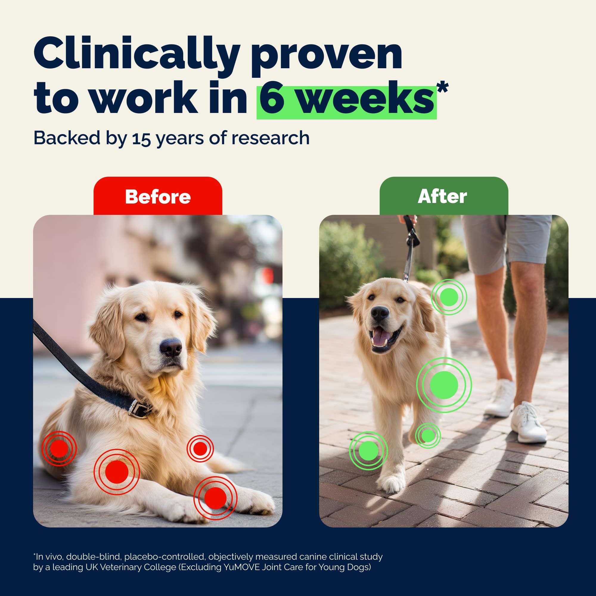 Suplement na stawy YuMOVE Senior Dog dla starszych psów (8+ lat), o większej mocy działania, z glukozaminą, chondroityną i małżem nowozelandzkim; nieodzowne wsparcie bioder i stawów; 120 tabletek