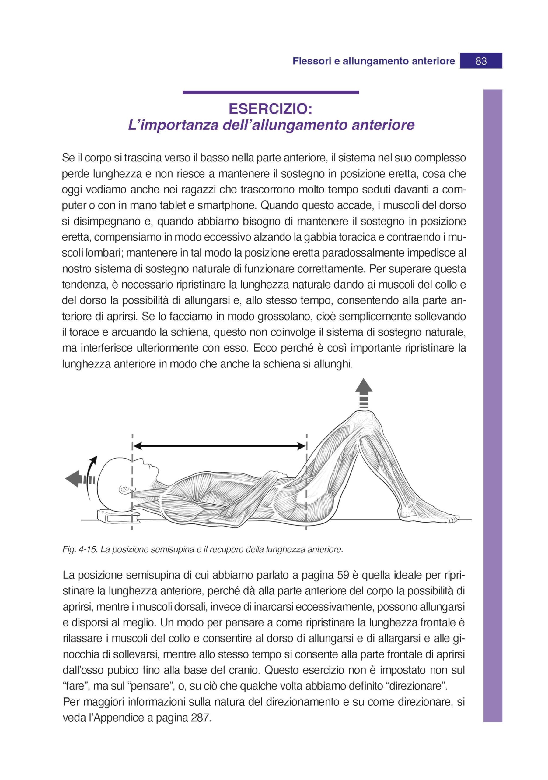 Anatomia in azione. La dinamica del sistema muscolare che crea e sostiene il corpo in movimento