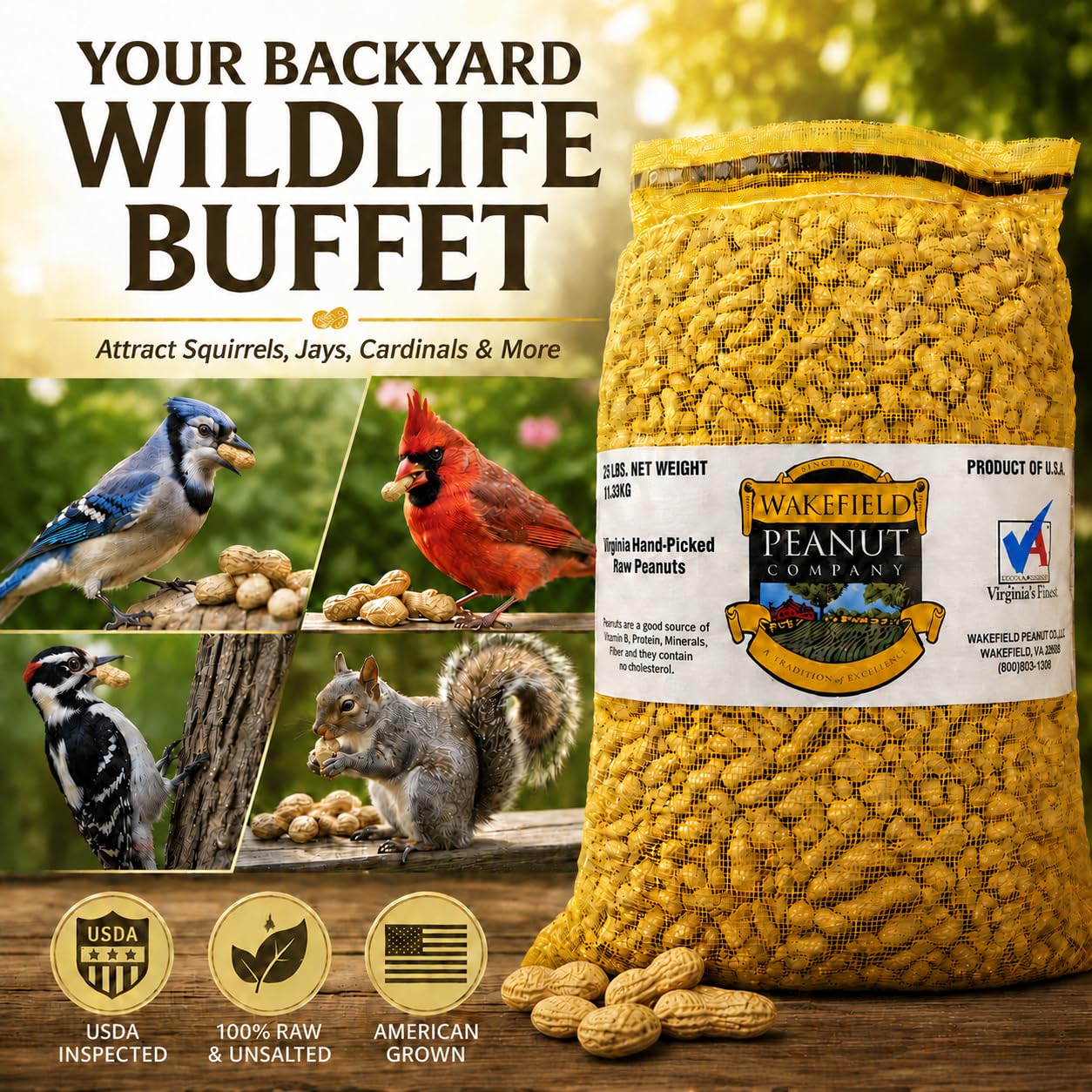Wakefield Premium Virginia Peanuts In-Shell for Squirrels, Blue Jays & Wildlife - 6 LB Bag - Hand-Picked, Raw, Unsalted, High Protein Wild Bird & Animal Feed
