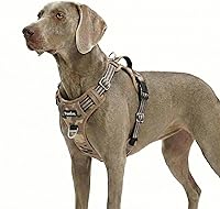 Vista 46 de Funfox Arnés para perro sin tirones, arnés de chaleco ajustable para mascotas, material súper suave con mango vertical, fácil control, paseo