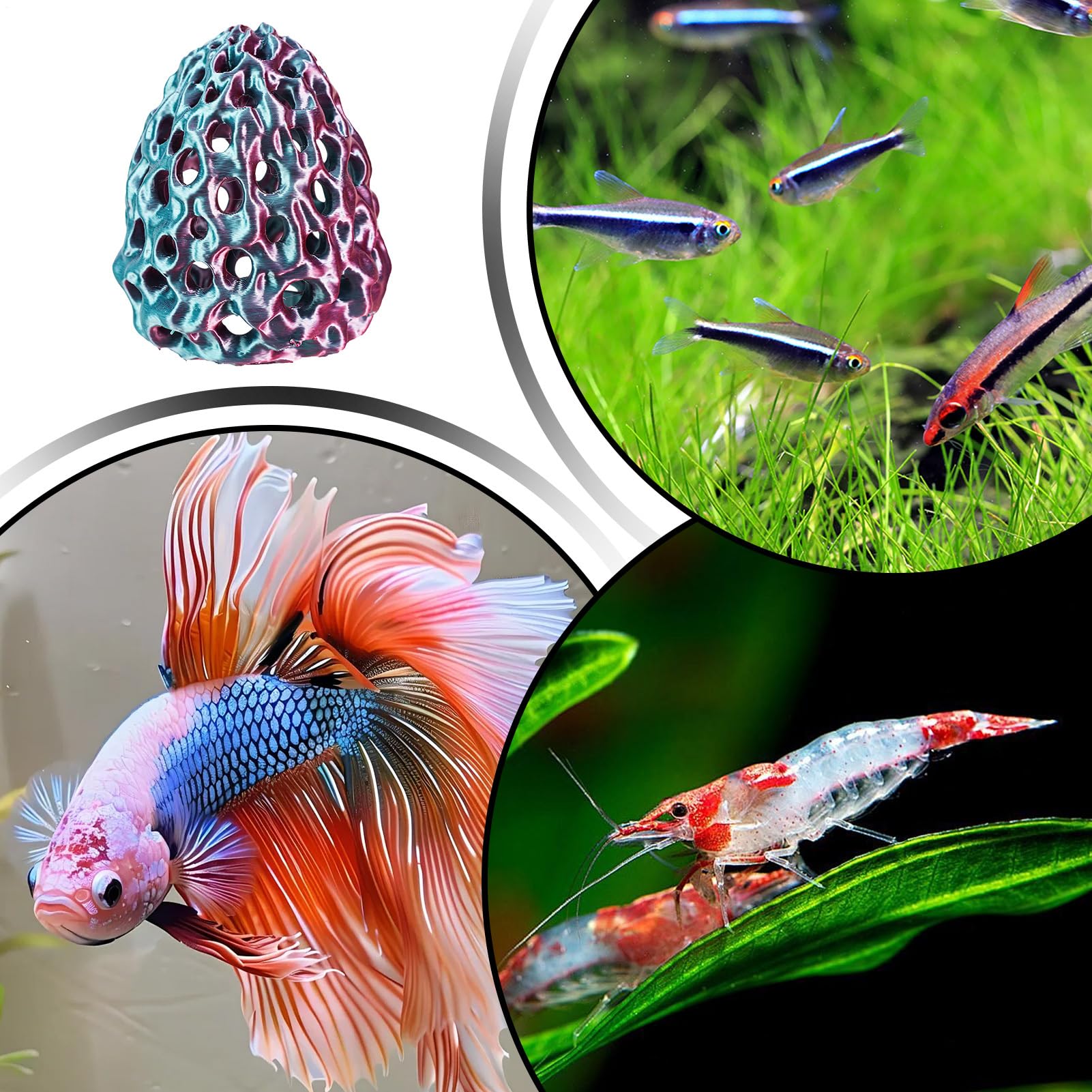Garnelen Höhle Versteck Simulierter Poröser Korallenstein Als Unterschlupf | Aquarium Tunnel mit Saugnapf Zum Verstecken Und Ausruhen Für Guppy Betta In Becken Und