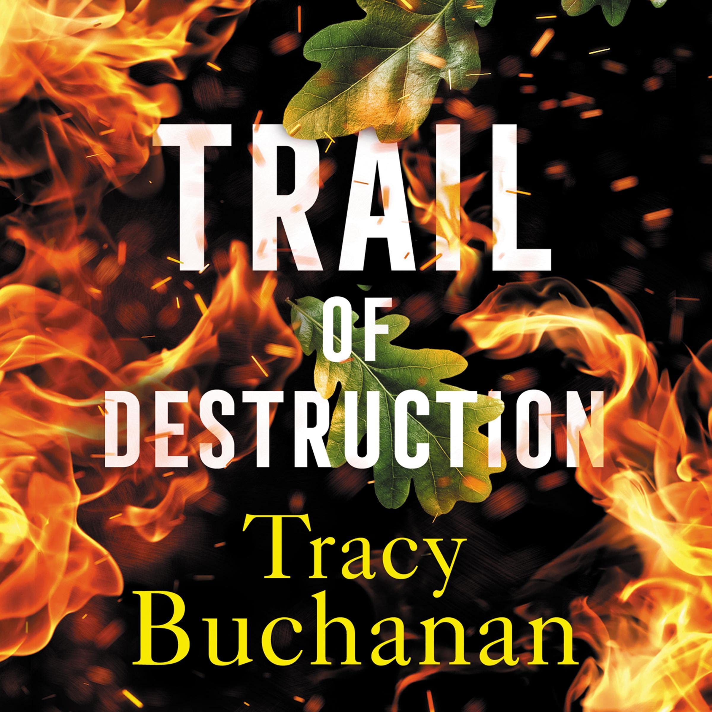 Cover art for Trail of Destruction