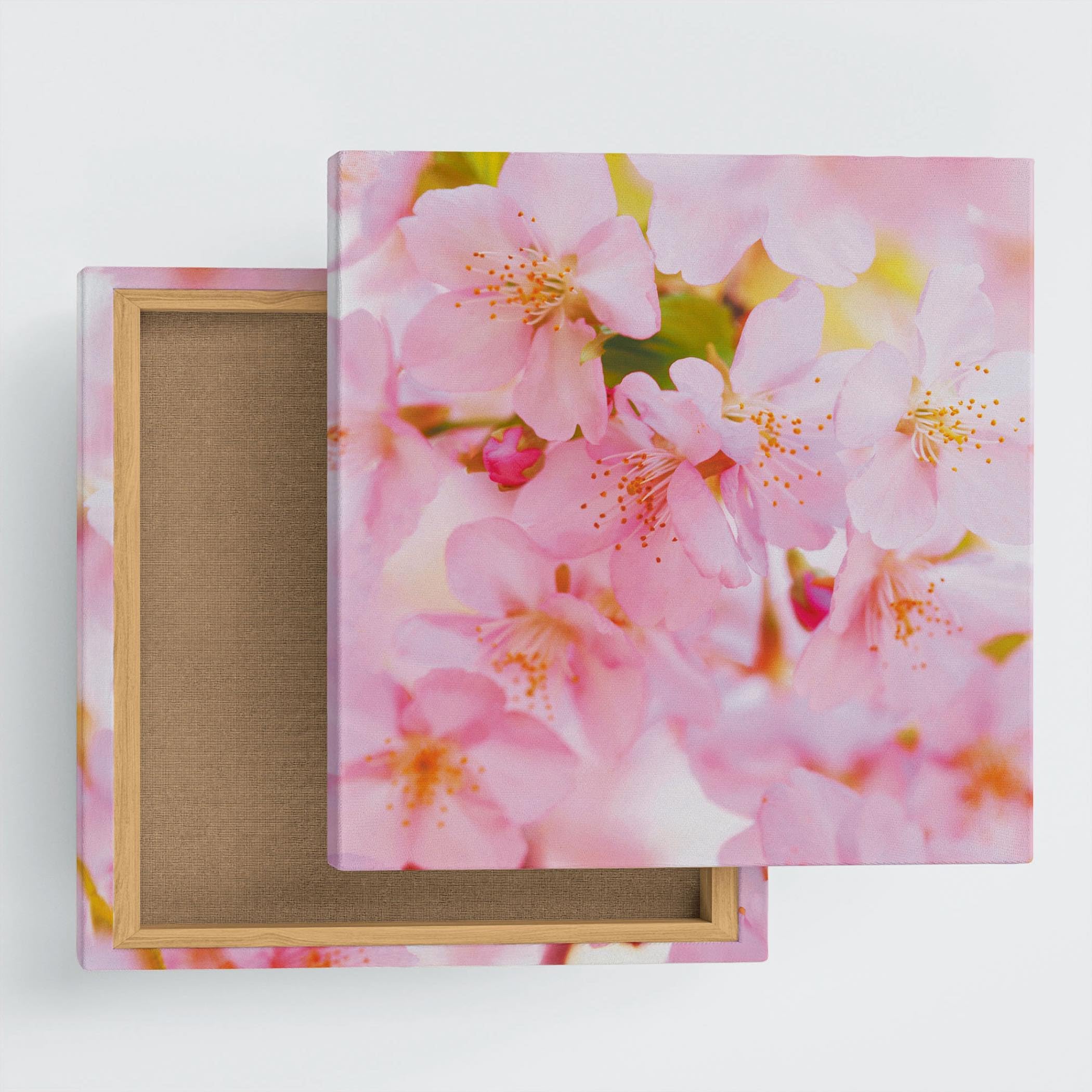 Cherry Blossom Poster Panel, 30×30cm