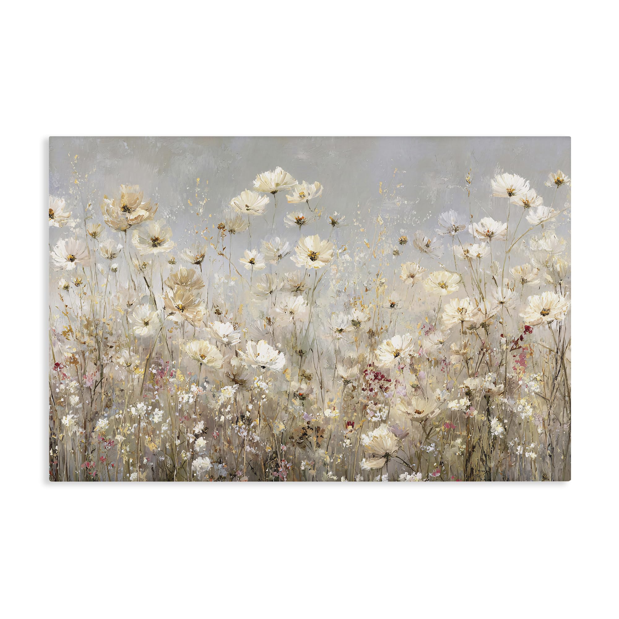 'White Daisy Clusters Meadow'| Canvas Art