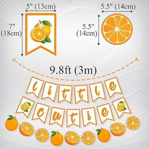 Miniatura 2 de Uniwish Cartel de arpillera para decoración de baby shower, guirnalda naranja, cítricos, temática naranja, decoración de fiesta de cumpleaños,