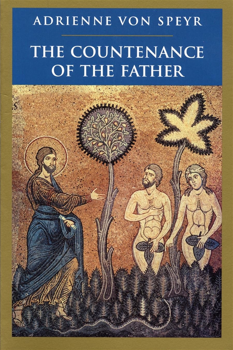 Buy The Countenance of the Father — BookShops.in