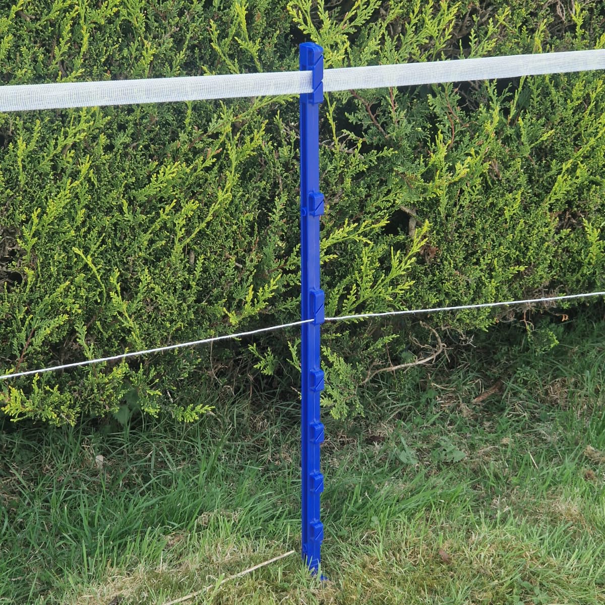 105cm Poly Post 3FT Plastic Fencing Stake | Reinforced Mobile Electric Fence Poles | Features 40mm Tape Clips (Blue, Pack of 20)