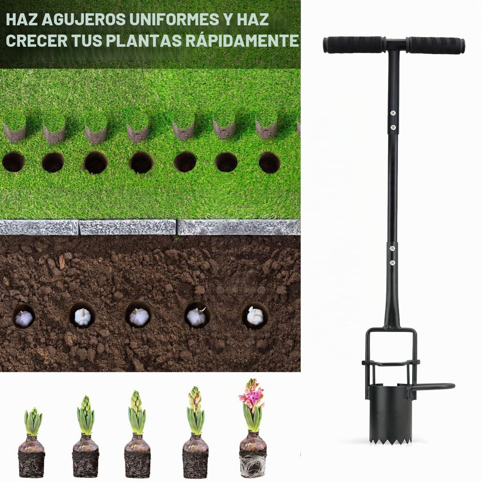 Plantador de bulbos con mango largo, con borde dentado y plataforma para el pie, ideal para tulipanes, narcisos, lirios, herramienta de jardín para cavar, trasplantar y tomar muestras de suelo