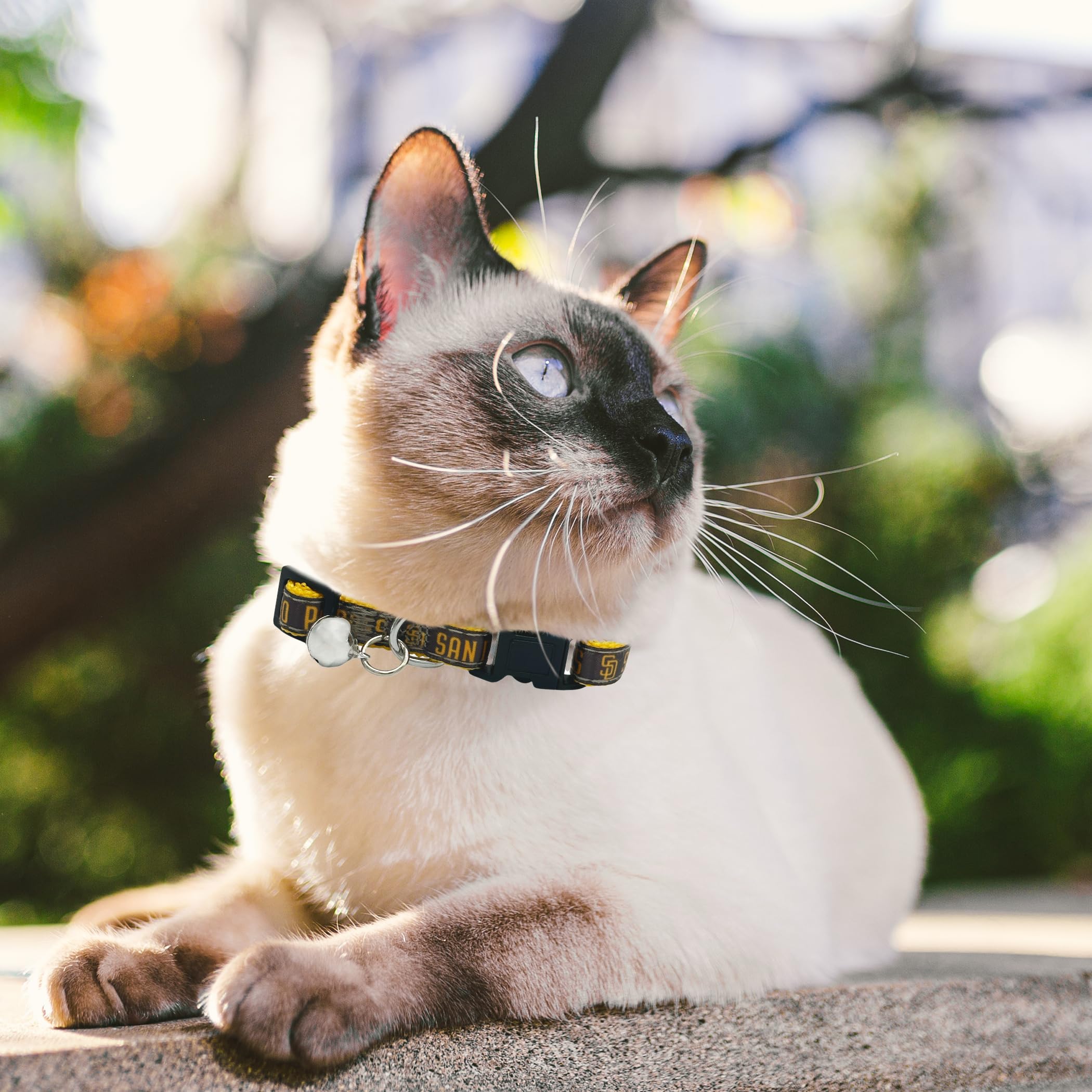MLB CAT Halsband San Diego Padres Satin Katzenhalsband Baseball Team Halsband für Hunde & Katzen Ein glänzendes und farbenfrohes Katzenhalsband mit Klingelglocken-Anhänger